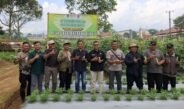 Program Ketahanan Pangan Desa Sagalaherang Kidul Serap Puluhan Pekerja, Ini Penjelasan Kades Endang