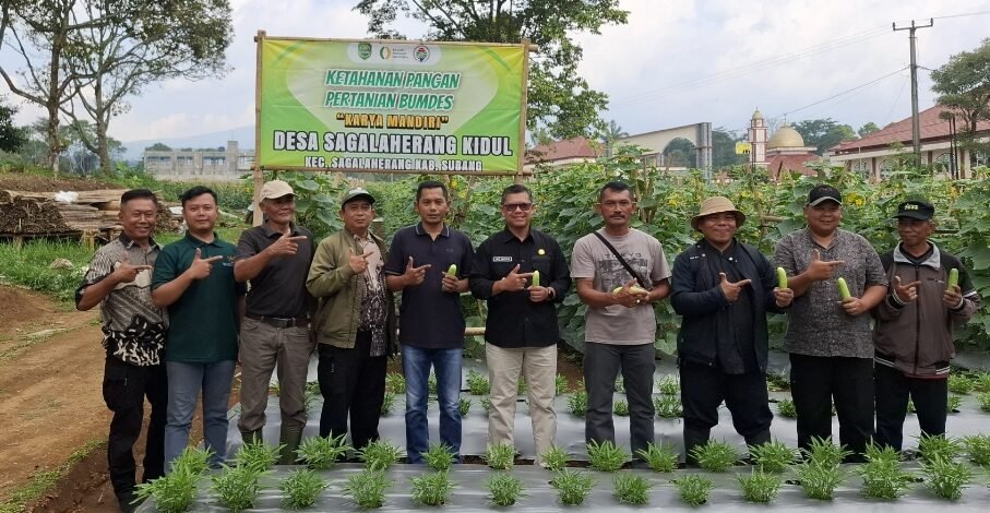 Program Ketahanan Pangan Desa Sagalaherang Kidul Serap Puluhan Pekerja, Ini Penjelasan Kades Endang