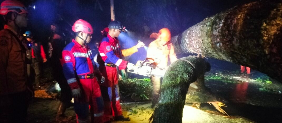Pohon Tumbang di Jalancagak Timpa Pemotor, Tiga Korbannya Alami Ini