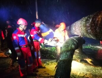 Pohon Tumbang di Jalancagak Timpa Pemotor, Tiga Korbannya Alami Ini