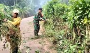 SINERGI : Babinsa Koramil 0508/Purwadadi Bersama Warga Gotong -Royong Bersihkan Jalan di Desa Pasirbungur
