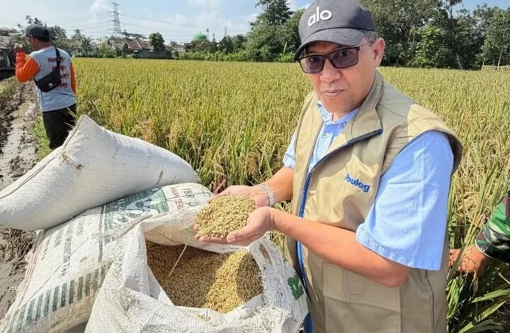 Tembus 67.418 Ton, Bulog Subang Pastikan Stok Beras Aman