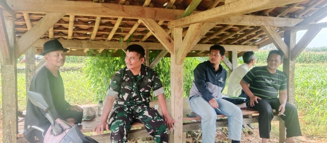 Cukup Saung Sawah Ini Jadi Saksi : Saat Babinsa Koramil Kalijati Temui Petani, Perkuat Kemanunggalan TNI-Rakyat