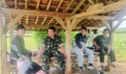 Cukup Saung Sawah Ini Jadi Saksi : Saat Babinsa Koramil Kalijati Temui Petani, Perkuat Kemanunggalan TNI-Rakyat