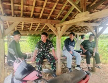 Cukup Saung Sawah Ini Jadi Saksi : Saat Babinsa Koramil Kalijati Temui Petani, Perkuat Kemanunggalan TNI-Rakyat