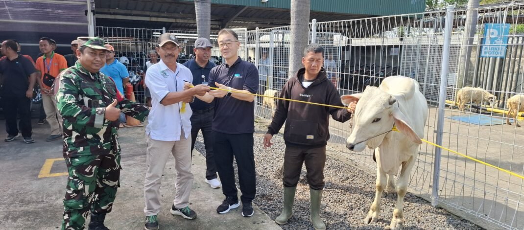 Sambut Hari Raya Idul Adha 1447 H, PT TKG Taekwang Indonesia Salurkan 17 Hewan Kurban