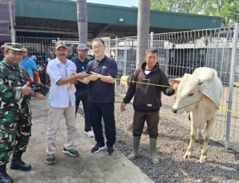 Sambut Hari Raya Idul Adha 1447 H, PT TKG Taekwang Indonesia Salurkan 17 Hewan Kurban