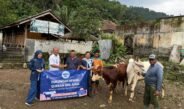 Rayakan Idul Adha 1447 Hijriah, PT. Tirta Investama (Aqua) Pabrik Subang Serahkan Empat Ekor Sapi Kurban untuk Warga