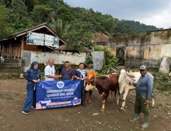 Rayakan Idul Adha 1447 Hijriah, PT. Tirta Investama (Aqua) Pabrik Subang Serahkan Empat Ekor Sapi Kurban untuk Warga