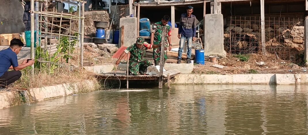 Jaga Ekosistem Sungai Cilamatan, Kodim Subang Tebar Benih Ikan