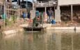 Jaga Ekosistem Sungai Cilamatan, Kodim Subang Tebar Benih Ikan
