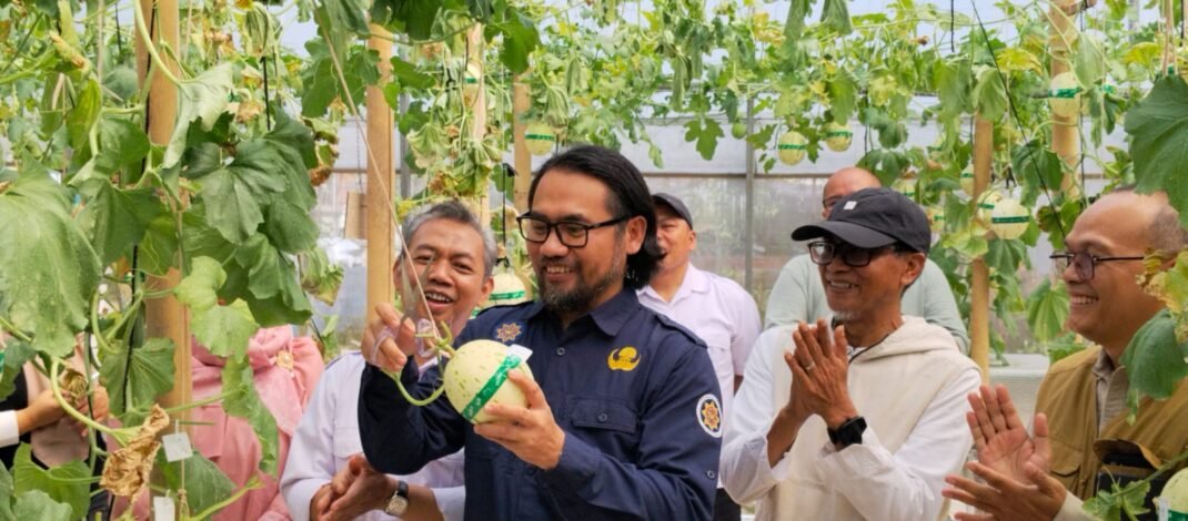 Terapkan Metode Teknologi Hidroponik Machida, Bapperida Subang dan POLSUB Kembangkan Budidaya Melon di Desa Dayeuhkolot Sagalaherang