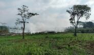 Warga Keluhkan Kepulan Asap Pembakaran Sampah dari TPS Jalancagak Subang, Asapnya Tebarkan Aroma Bau Busuk Menyengat Hidung