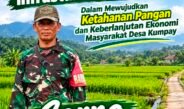 Anggota TNI ini Nyalon Kades, Salah Satu Misinya Dorong Pembangunan Jalan Usaha Tani, Perkuat Ketahanan Pangan dan Ekonomi Desa Kumpay
